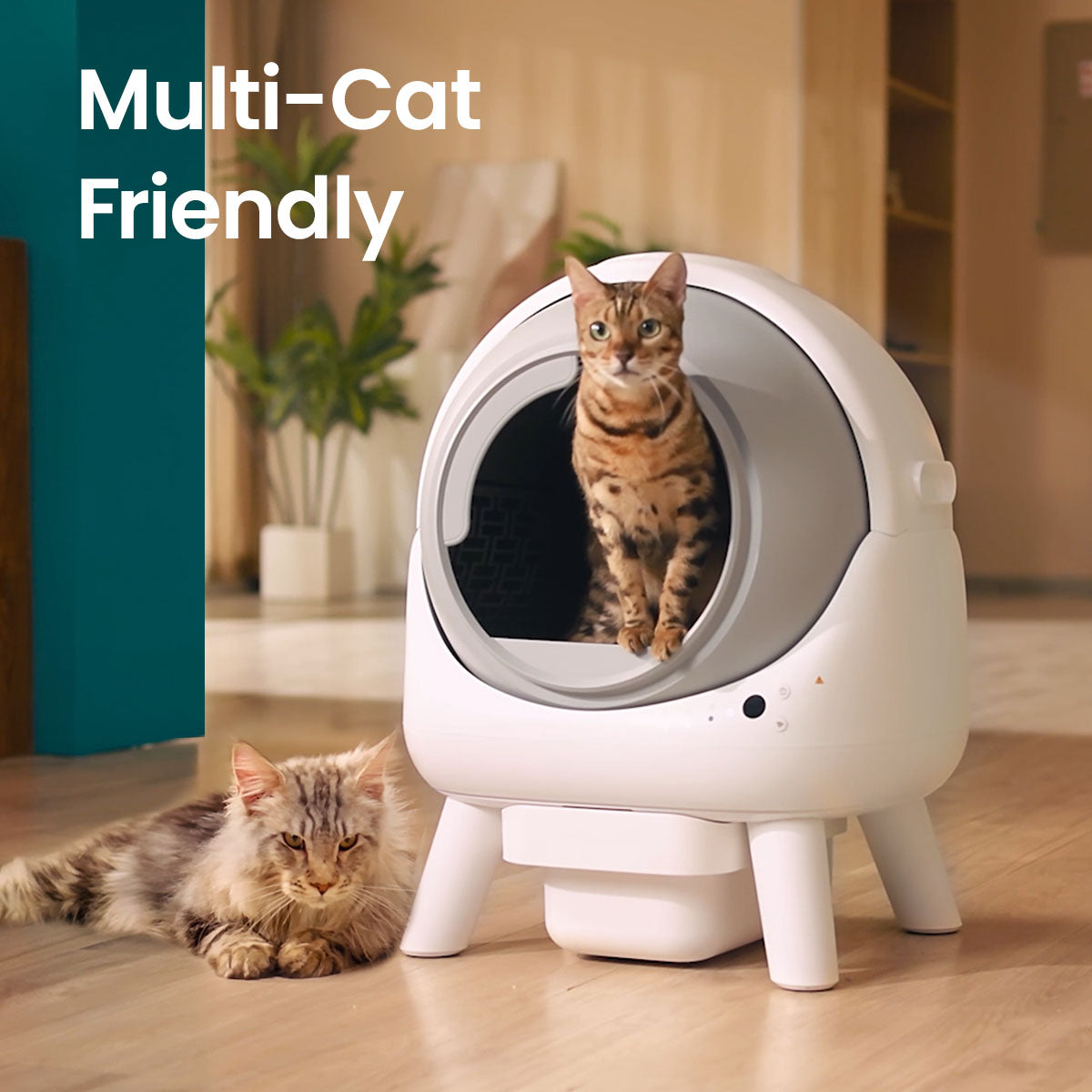 Orbitie Self Cleaning Litter Box * 2